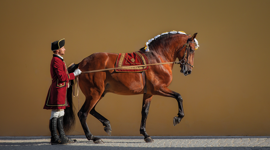 Escola Portuguesa de Arte Equestre - Dança milenar da alma lusitana