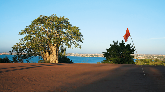 Golfe Morro dos Veados – Os greens transformados em browns