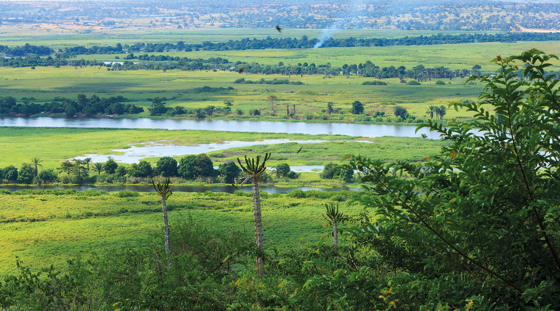 Parque Nacional da Quissama - Santuário de Elefantes