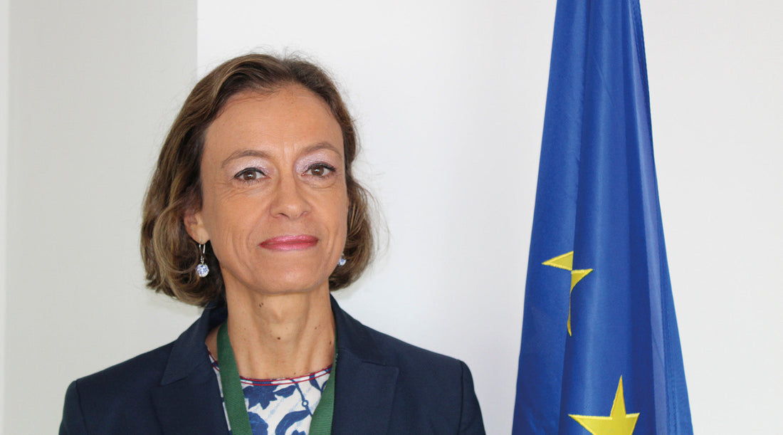 Corredor do Lobito: o eixo estratégico da parceria entre Angola e União Europeia
